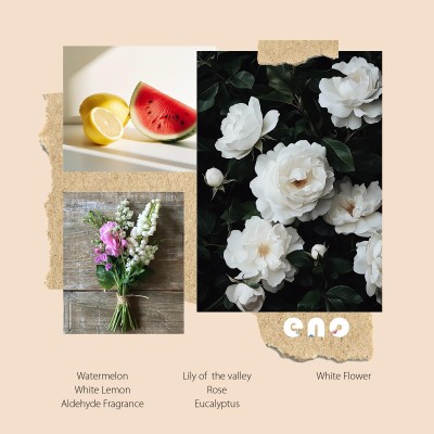 Reed Diffuser Set with Really Dried Flowers, Essential Oils Scented Diffuser with Sticks Watermelon 5.1oz 150ml