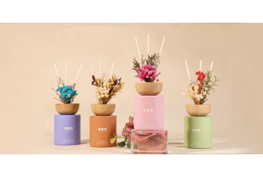 4 Scent Stories: Science-Backed Aromatherapy for Your Space